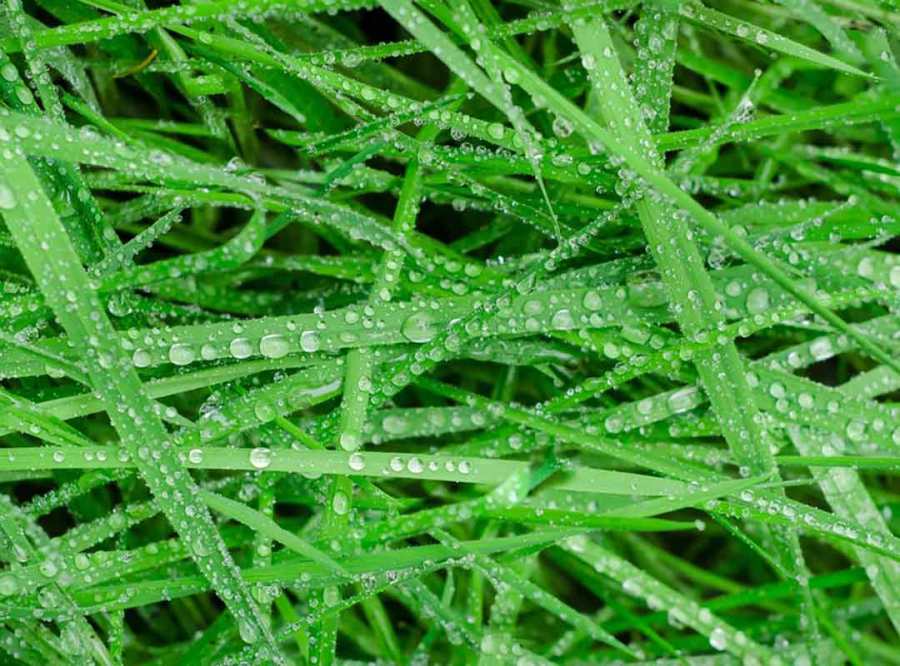 Then Let it&nbsp;Rain